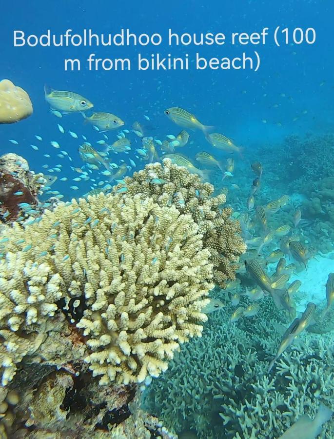 Surfretreat Hotel Bodufolhudhoo ภายนอก รูปภาพ