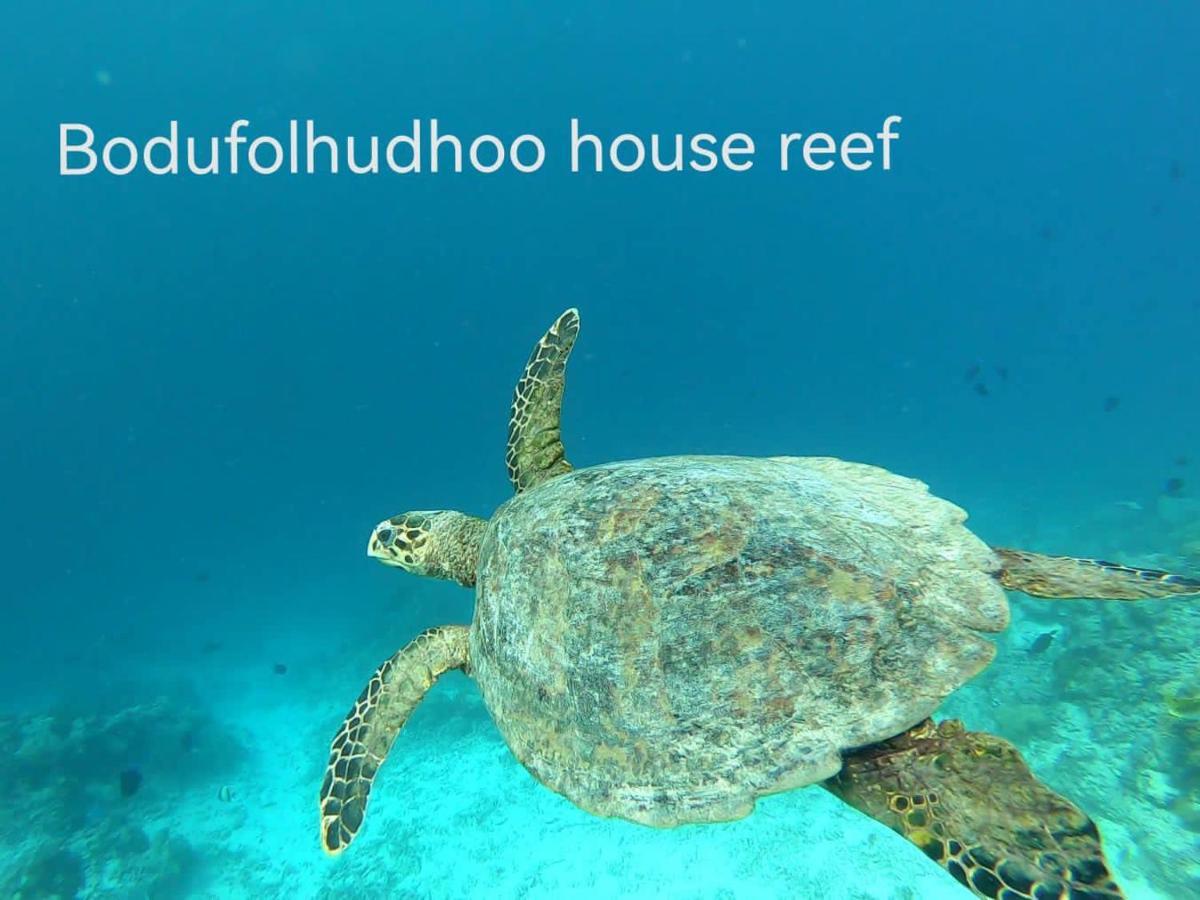 Surfretreat Hotel Bodufolhudhoo ภายนอก รูปภาพ