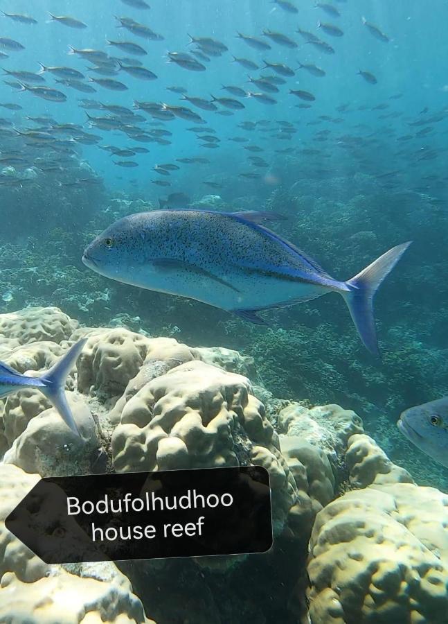 Surfretreat Hotel Bodufolhudhoo ภายนอก รูปภาพ