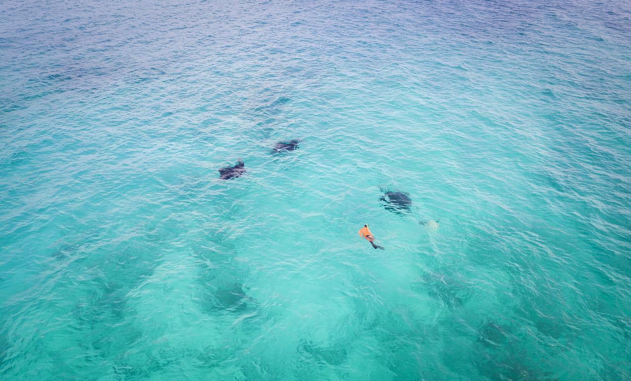 Surfretreat Hotel Bodufolhudhoo ภายนอก รูปภาพ